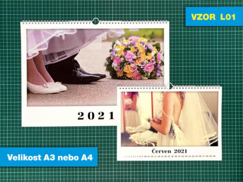 VZOR L01