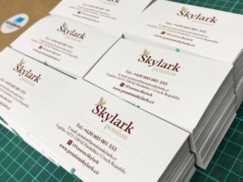 Skylark Pension Vizitky
